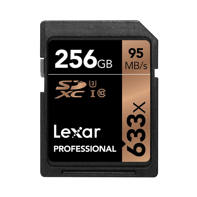 Professional SDXC 256GB 95MB/s UHS-I U1